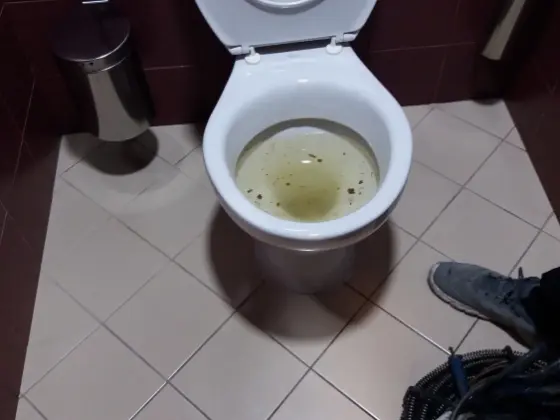 Отпушване на тоалетна в София, център